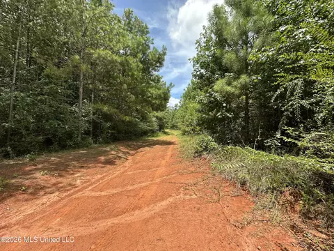 Smith County Road, Raleigh, MS 39153 photo 18