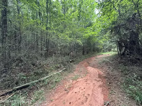 Smith County Road, Raleigh, MS 39153 photo 32