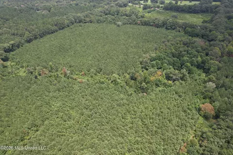 Smith County Road, Raleigh, MS 39153 photo 6