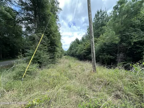 Smith County Road, Raleigh, MS 39153 photo 44