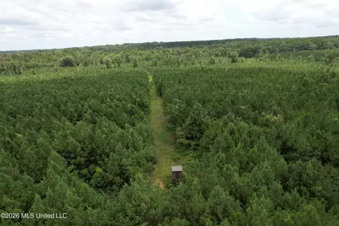 Smith County Road, Raleigh, MS 39153 photo 16