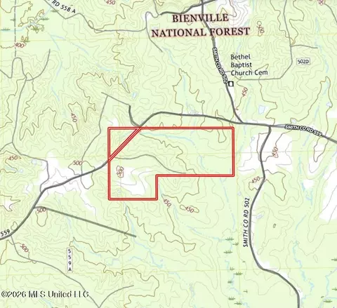Smith County Road, Raleigh, MS 39153 photo 45