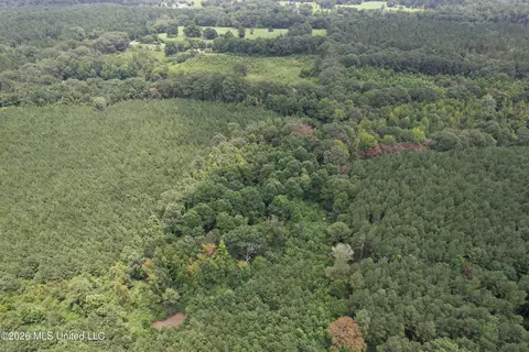 Smith County Road, Raleigh, MS 39153 photo 5