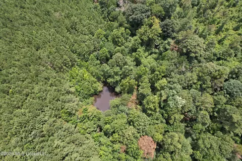 Smith County Road, Raleigh, MS 39153 photo 13