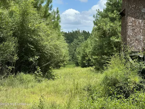 Smith County Road, Raleigh, MS 39153 photo 21