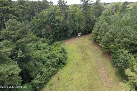Smith County Road, Raleigh, MS 39153 photo 10