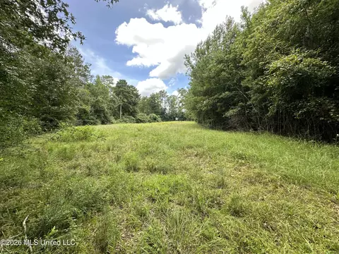 Smith County Road, Raleigh, MS 39153 photo 35