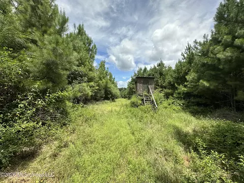 Smith County Road, Raleigh, MS 39153 photo 20