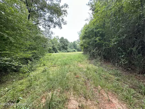 Smith County Road, Raleigh, MS 39153 photo 34