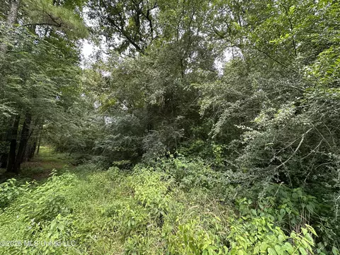 Smith County Road, Raleigh, MS 39153 photo 28