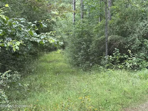 Smith County Road, Raleigh, MS 39153 photo 26