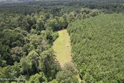 Smith County Road, Raleigh, MS 39153 photo 11