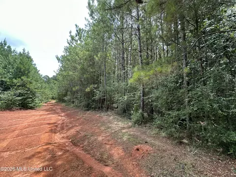 Smith County Road, Raleigh, MS 39153 photo 38