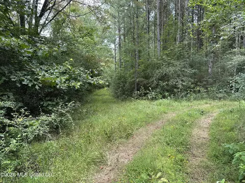 Smith County Road, Raleigh, MS 39153 photo 25
