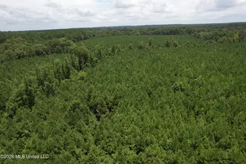 Smith County Road, Raleigh, MS 39153 photo 15