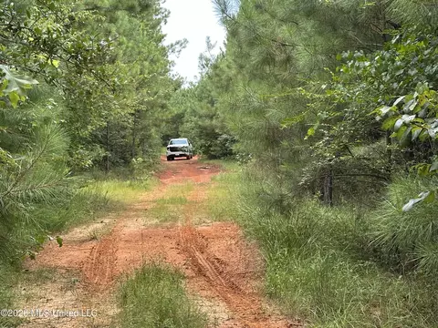 Smith County Road, Raleigh, MS 39153 photo 31