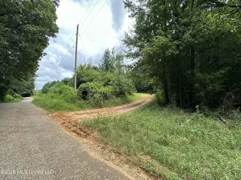 Smith County Road, Raleigh, MS 39153 photo 40