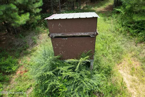 Smith County Road, Raleigh, MS 39153 photo 8