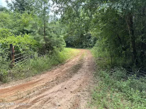 Smith County Road, Raleigh, MS 39153 photo 41