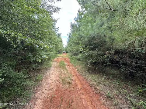 Smith County Road, Raleigh, MS 39153 photo 30