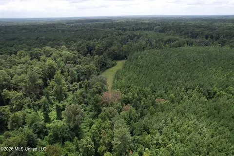 Smith County Road, Raleigh, MS 39153 photo 12