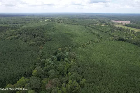 Smith County Road, Raleigh, MS 39153 photo 4