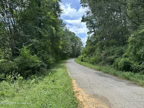 Smith County Road, Raleigh, MS 39153 photo 43