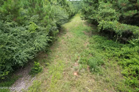 Smith County Road, Raleigh, MS 39153 photo 7