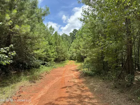 Smith County Road, Raleigh, MS 39153 photo 23