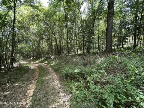 Smith County Road, Raleigh, MS 39153 photo 24