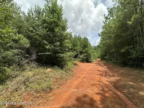Smith County Road, Raleigh, MS 39153 photo 39