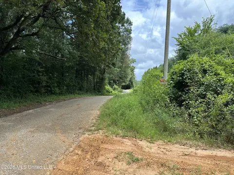 Smith County Road, Raleigh, MS 39153 photo 42