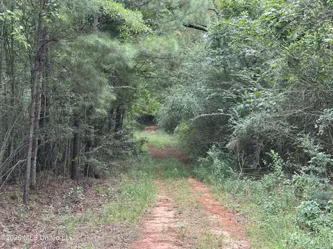 Smith County Road, Raleigh, MS 39153 photo 37