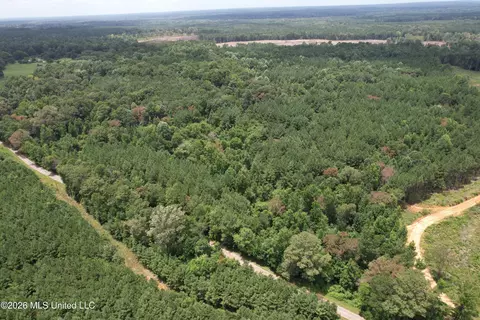 Smith County Road, Raleigh, MS 39153 photo 14