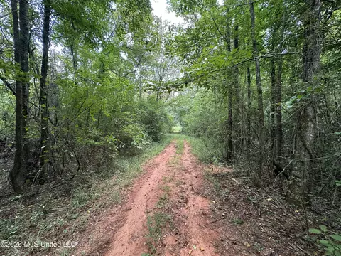 Smith County Road, Raleigh, MS 39153 photo 33