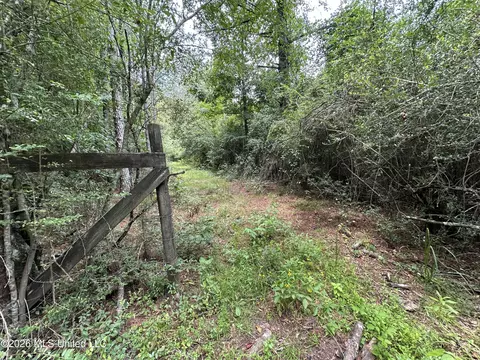 Smith County Road, Raleigh, MS 39153 photo 29