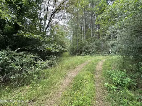 Smith County Road, Raleigh, MS 39153 photo 27