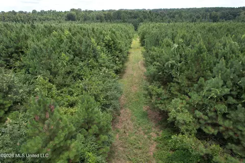 Smith County Road, Raleigh, MS 39153 photo 9