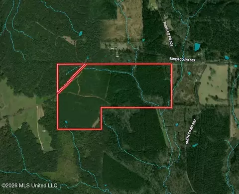 Smith County Road, Raleigh, MS 39153 photo 2