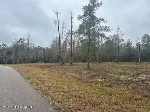 Bent Creek, Picayune, MS 39466 photo 3