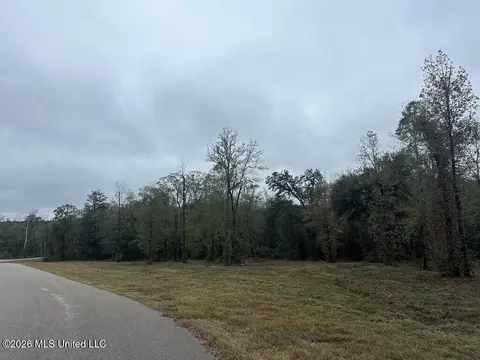 Bent Creek, Picayune, MS 39466 photo 2