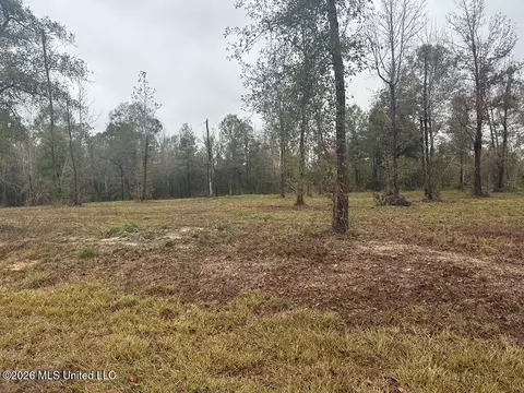 Bent Creek, Picayune, MS 39466 photo 5