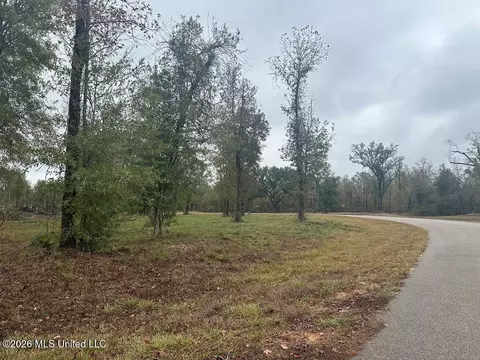Bent Creek, Picayune, MS 39466 photo 6