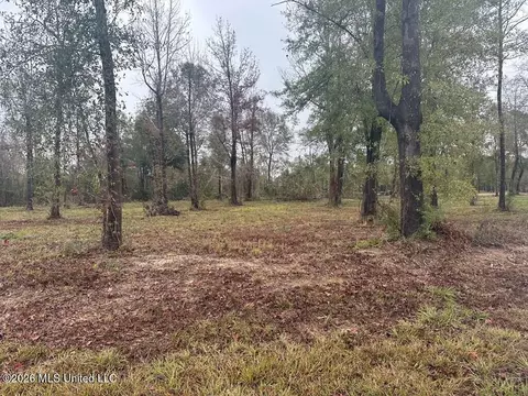 Bent Creek, Picayune, MS 39466 photo 4