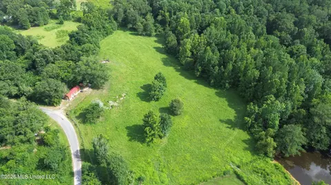386 S Co Road 111-a, Raleigh, MS 39153