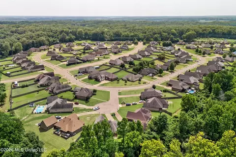 View/Area - 640 Kaleas Way Cv, Hernando, MS 38632 photo 5 of 6