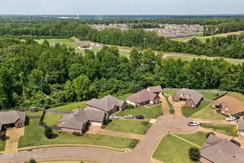 View/Area - 640 Kaleas Way Cv, Hernando, MS 38632 photo 3 of 6