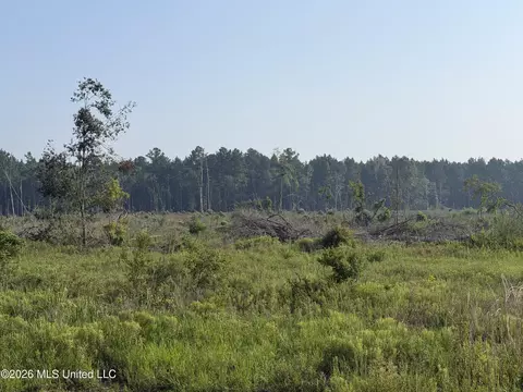80 Acres Off Of Farmer Dr, Richton, MS 39476 photo 2
