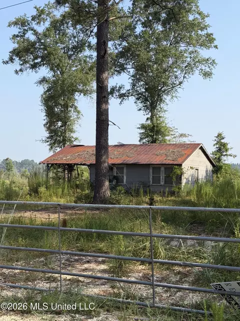 80 Acres Off Of Farmer Dr, Richton, MS 39476 photo 6