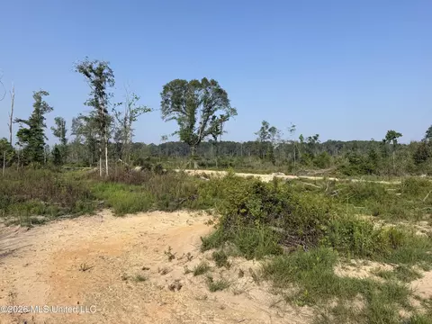 80 Acres Off Of Farmer Dr, Richton, MS 39476 photo 4